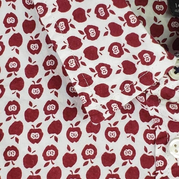 Talbots Button Down Shirt Novelty Print Apple Size 14 P Teacher Cotton LS - Picture 10 of 11